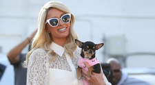 Paris Hilton cheltuiește o avere pentru găsirea lui Diamond Baby, câinele chihuahua dispărut