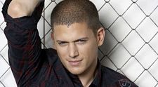Wentworth Miller, starul din 