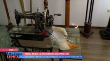 VIDEO Mihai Albu, propuneri de încălțăminte pentru primăvară