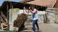 VIDEO Șeful a ajuns la munca de jos. Cum se descurcă Dragoș Anastasiu în grajd, la cai