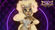 Pisica, a doua mască dezvăluită de la Masked Singer România. Costumul ei este impresionant