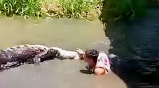 Moment terifiant! Un turist a fost ronțăit de un crocodil după ce a confundat bestia de 4,5 metri cu ”o statuie” și a vrut să-și facă un selfie cu ea