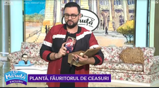 VIDEO Augustin Matei i-a făcut un ceas lui Cătălin Măruță
