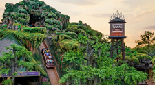 Clipe de groază la Disneyland! Un băiat de 13 ani a căzut în gol de la peste 15 metri: „Mă surprinde că nu au instalat centuri pentru a preveni astfel de situații”