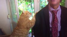 Momentul în care o pisică întreupe interviul unui celebru istoric și politolog. Ce a făcut felina apoi a devenit viral