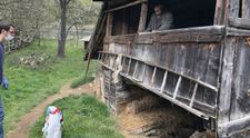 Peste 200 de familii care trăiesc izolate în Munții Apuseni au primit pachete cu alimente și produse de bază