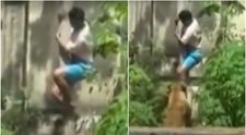 Momentul îngrozitor în care un tânăr este sfâșiat de o leoaică într-o grădină zoologică! Scenele s-au petrecut sub privirile vizitatorilor