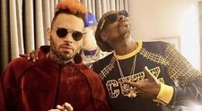 Petrecerea de ziua lui Chris Brown, cu 500 de invitați, închisă de poliție