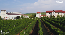 Wine Trips România, sezonul 4 | Crama Liliac, vinuri din Lumea Nouă într-o zonă viticolă istorică