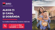 (P) Credit Review - Creditul Imobiliar Habitat de la BRD