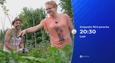 S-au vazut, s-au placut, acum a venit vremea alegerii! Ce vor face gospodarii nostri? Aflam astazi de la 20:30