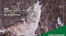 Nestlé România lansează primul studiu de biodiversitate pentru Parcul Național Cozia. Vor fi plantați 30.000 de puieți de salcâm