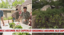 O frumusete ascunsa a Bucurestiului va fi redata publicului dupa zeci de ani de abandon: gradina Casei Universitarilor