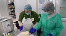 Șef sub acoperire, 17 octombrie 2024. Alina Donici intră sub acoperire în fabrica de brânzeturi. Cum se descurcă Viorica Tănase în prima zi de muncă: „Deja mă doare mâna”