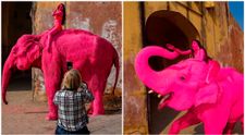 Furie în India după ce un elefant a fost vopsit în roz pentru o ședință foto și ulterior a murit. Fotografa spune că acum primește amenințări cu moartea