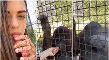 „Lăsați animalul în pace!” O luptătoare de MMA s-a filmat în timp ce dă unei maimuțe de la zoo să tragă dintr-o țigară electronică VIDEO