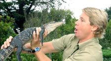 Ce avere meschină le-a lăsat Steve Irwin copiilor săi. Suma nu a acoperit nici cheltuielile pe o săptămănâ. ”În datorii până-n gât”