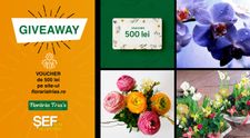 GIVEAWAY SĂPTĂMÂNAL Răspunde la întrebare și poți câștiga un voucher de 500 lei la florăria Tria's