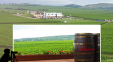 Wine Trips România | Crama Budureasca, locul în care vinul e mereu acasă