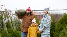Cât a ajuns să coste un brad de Crăciun în 2024! Suma de care ai nevoie pentru unul natural sau artificial