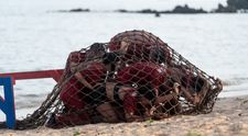 Prinși într-un <bulgăre uman> și aruncați în mare: cea mai dură probă de până acum, diseară, de la 20:30, la Desafio: Aventura: „Simțeam cum mi se smulge părul de pe cap”