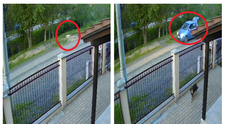 Momentul crunt în care un câine fără stăpân a fost omorât de un individ, în Timiș, surprins pe camere! Polițiștii fac cercetări