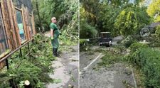 Grădina Zoologică București se închide temporar, din cauza furtunii violente de ieri. Imagini cu dezastrul produs