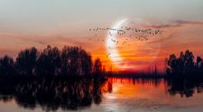 ”Inelul de foc”, eclipa solară din 17 februarie 2026, cel mai dramatic eveniment cosmic. Cum îți va zdruncină emoțiile, energia și destinul