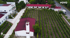 Wine Trips, sezonul 4 | Crama Viișoara, răsplata oferită străbunilor deposedați de vița de vie