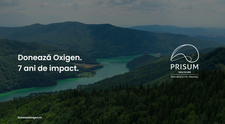 (P) Donează Oxigen, platforma prin care companiile pot contribui la salvarea pădurilor din România