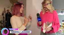Lavanda e vedeta, de la bijuterii până la lumânări, prăjituri și haine! Unde la puteți găsi