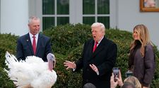 Melania și Donald Trump, imagini virale de la ceremonia de grațiere a curcanilor Waddle și Gobble. Cum l-a ridiculizat președintele american pe Joe Biden