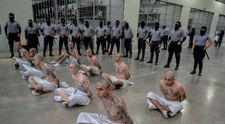 Cum arată închisoarea în care Donald Trump a trimis peste 200 de cetățeni venezueleni, presupuşi membri ai unei bande criminale. Imagini terifiante din CECOT, „cea mai rea închisoare din lume”