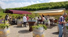 Wine Trips România, un show despre vinurile și cramele românești, în curând, pe protvplus.ro și VOYO