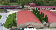 Wine Trips from România | Sălcuța Winery, afacerea de familie care prosperă din dragoste pentru vin