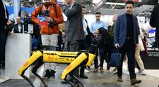 5 echipe de elevi români pleacă la Campionatul Mondial de Robotică FIRST din Houston, SUA!
