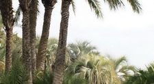 Octavian Strunila a intrat in noul an pe strazile din Barcelona FOTO!