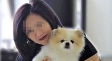 E oficial! Câinele suspect de coronvirus în Hong Kong a fost infectat. Ce au descoperit veterinarii