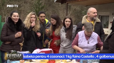 VIDEO Rețeta secretă a fabuloșilor cozonaci din Ferma