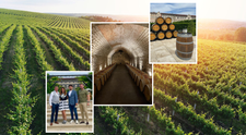 Wine Trips from România, show-ul despre vinurile și cramele din Republica Moldova, în curând pe VOYO și PROTVPlus.ro