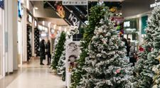 (P) Marii importatori și-au aprovizionat deja stocurile cu brazi artificiali pentru un Crăciun de poveste