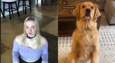 A renunțat la jobul ei pentru a avea viața unui câine. Ce se întâmplă când iese pe stradă