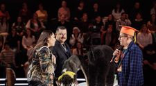 Românii au talent, 6 februarie 2026: Mikhail Ermakov, dresorul de câini care a primit Golden Buzz de la Andra. „Nu am mai văzut așa ceva”