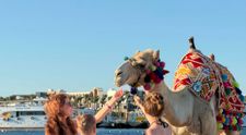 Hurghada, destinația care îi cucerește pe părinți și copii. „Aici cei mici nu au timp să se plictisească”