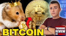Bogații planetei, amenințați de un hamster. Povestea rozătoarei devenită milionară - Trending Review 94 cu Daragiu 