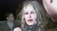 Brigitte Bardot, în stare gravă. Actrița franceză, internată de urgență la spital