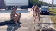 Momentul șocant când un bărbat desculț se luptă cu un aligator, pe o autostradă aglomerată. Reacția martorilor: ”Nici în cele mai negre coșmaruri ale mele...”