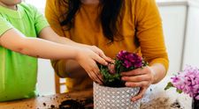 Cum creezi cele mai frumoase aranjamente florale pentru grădina ta