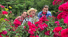 Dorel vrea să își facă 