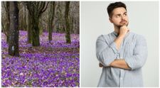 O iluzie optică virală îți poate demonstra că ai calități analitice uimitoare. Reușești să găsești porumbelul ascuns în acest peisaj